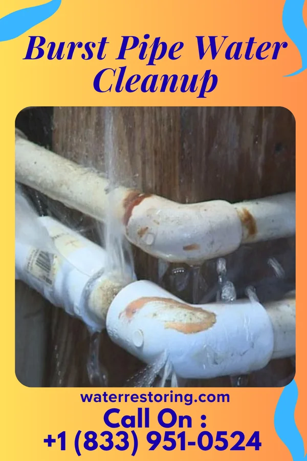 Burst Pipe Water Cleanup in North Las Vegas, NV
