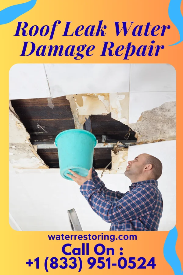 Roof Leak Water Damage Repair in North Las Vegas, NV
